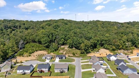 Tiny photo for 211 Jason Hovater Way, Clinton, TN 37716 (MLS # 1325854)