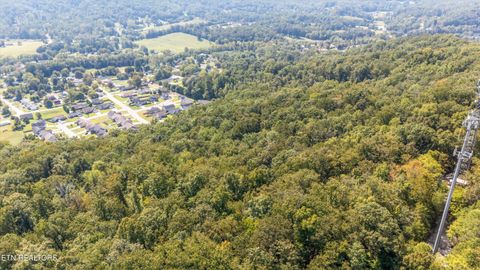 Tiny photo for 211 Jason Hovater Way, Clinton, TN 37716 (MLS # 1325854)