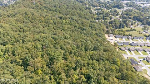 Tiny photo for 211 Jason Hovater Way, Clinton, TN 37716 (MLS # 1325854)