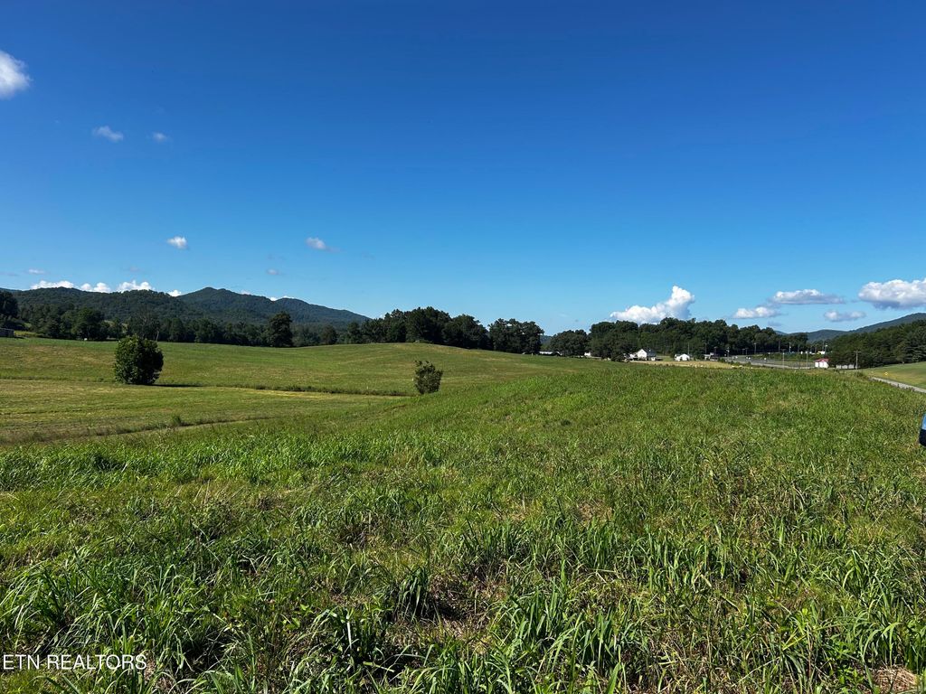 Photo of 461 Reliance Rd, Tellico Plains, TN 37385 (MLS # 1309890)