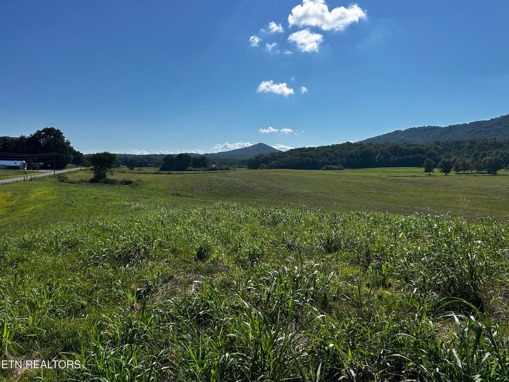 Photo of 461 Reliance Rd, Tellico Plains, TN 37385 (MLS # 1309890)