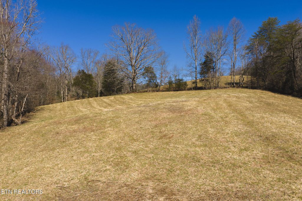 Photo of 50 Sutton Hollow Rd, Sneedville, TN 37869 (MLS # 1334786)