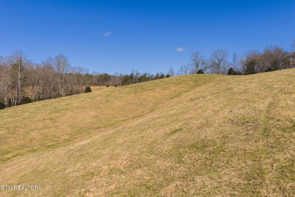 Photo of 50 Sutton Hollow Rd, Sneedville, TN 37869 (MLS # 1334786)