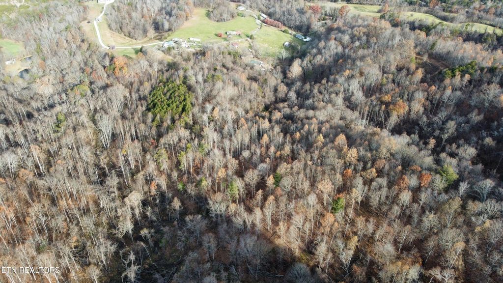 Photo of 100 Elum Coffey Rd, Thorn Hill, TN 37881 (MLS # 1327797)