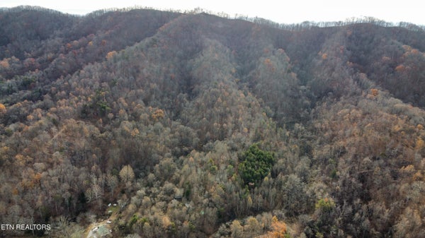 100 ELUM COFFEY RD, THORN HILL, TN 37881 - Image eaeac18b21e0091a3d59ebf55c0cc1da/885553043