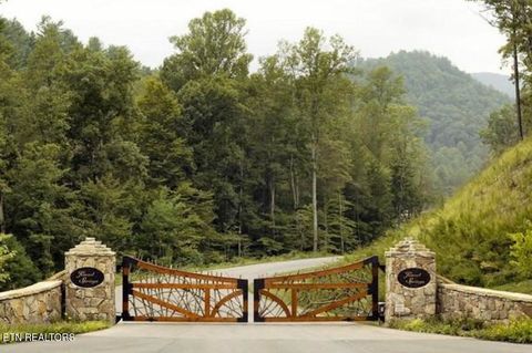 Tiny photo for 165 Anatole Pass, Townsend, TN 37882 (MLS # 1315675)