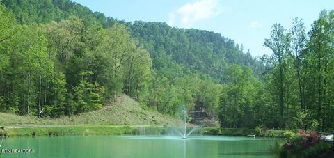 Tiny photo for 165 Anatole Pass, Townsend, TN 37882 (MLS # 1315675)