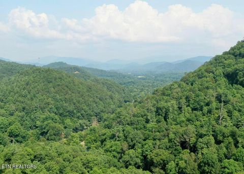 Photo of 165 Anatole Pass, Townsend, TN 37882 (MLS # 1315675)