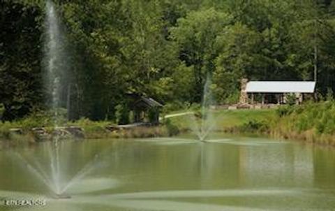 Tiny photo for 165 Anatole Pass, Townsend, TN 37882 (MLS # 1315675)