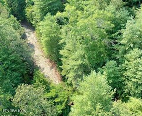 Tiny photo for 165 Anatole Pass, Townsend, TN 37882 (MLS # 1315675)