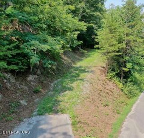 Tiny photo for 165 Anatole Pass, Townsend, TN 37882 (MLS # 1315675)