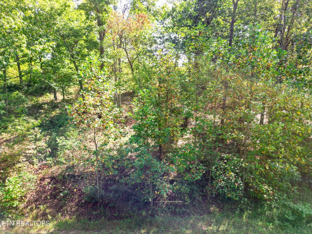 Photo of 31 Mt Clouds Tr, Duff, TN 37729 (MLS # 1317076)