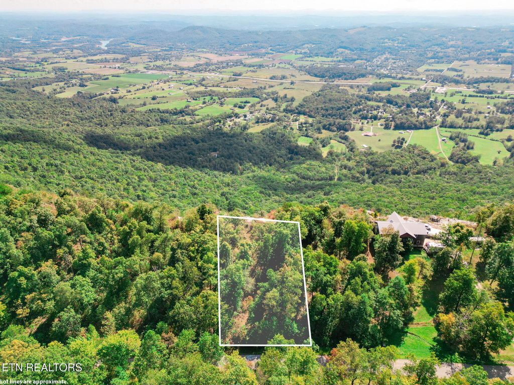Photo of 31 Mt Clouds Tr, Duff, TN 37729 (MLS # 1317076)
