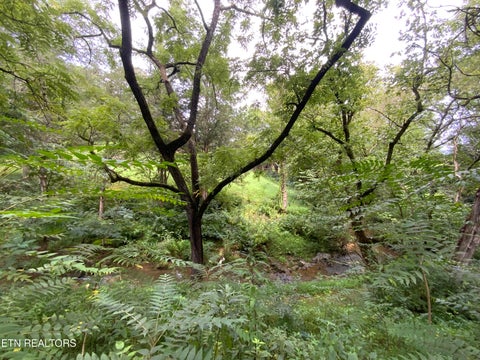Tiny photo for 1839 Jayell Rd, Sevierville, TN 37862 (MLS # 1354885)