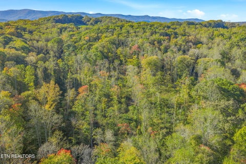 Tiny photo for 132 Coventry DR, Andersonville, TN 37705 (MLS # 1360251)