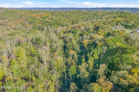 Tiny photo for 132 Coventry DR, Andersonville, TN 37705 (MLS # 1360251)