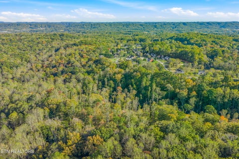 Tiny photo for 132 Coventry DR, Andersonville, TN 37705 (MLS # 1360251)