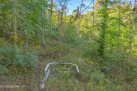 Tiny photo for 132 Coventry DR, Andersonville, TN 37705 (MLS # 1360251)