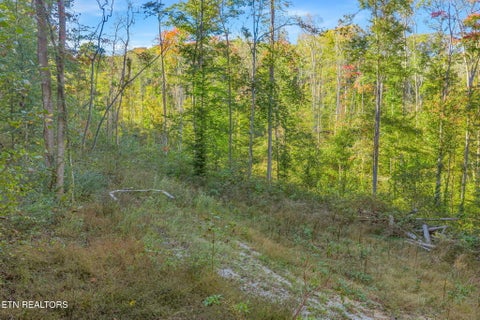 Tiny photo for 132 Coventry DR, Andersonville, TN 37705 (MLS # 1360251)