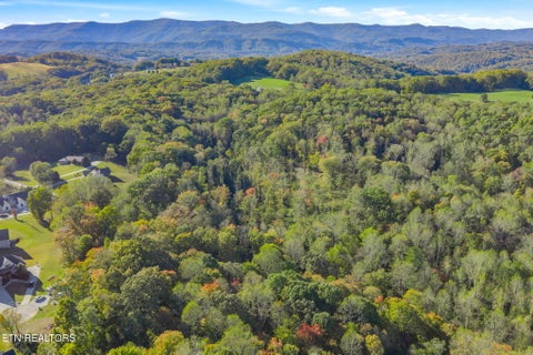 Tiny photo for 132 Coventry DR, Andersonville, TN 37705 (MLS # 1360251)