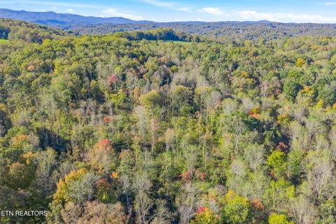 Tiny photo for 132 Coventry DR, Andersonville, TN 37705 (MLS # 1360251)