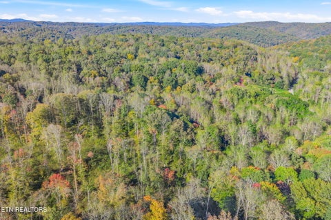Tiny photo for 132 Coventry DR, Andersonville, TN 37705 (MLS # 1360251)