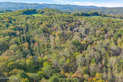 Tiny photo for 132 Coventry DR, Andersonville, TN 37705 (MLS # 1360251)