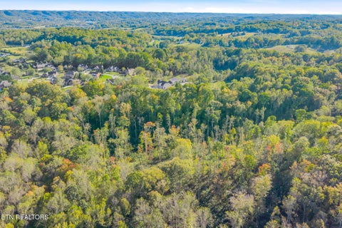 Tiny photo for 132 Coventry DR, Andersonville, TN 37705 (MLS # 1360251)