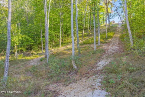 Tiny photo for 132 Coventry DR, Andersonville, TN 37705 (MLS # 1360251)