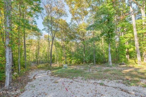 Tiny photo for 132 Coventry DR, Andersonville, TN 37705 (MLS # 1360251)