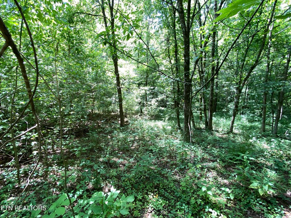 Photo of Rivers Run Blvd, Oak Ridge, TN 37830 (MLS # 1311444)
