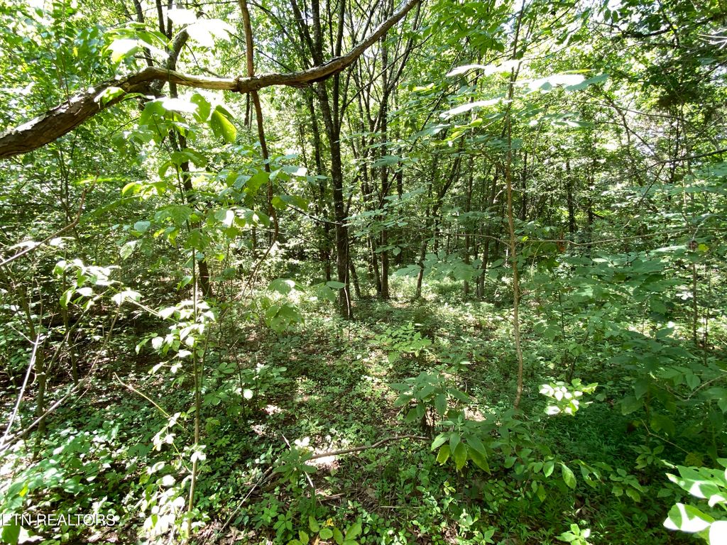 Photo of Rivers Run Blvd, Oak Ridge, TN 37830 (MLS # 1311444)