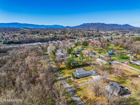 Tiny photo for 380 Clifton Heights Rd, Newport, TN 37821 (MLS # 1327926)
