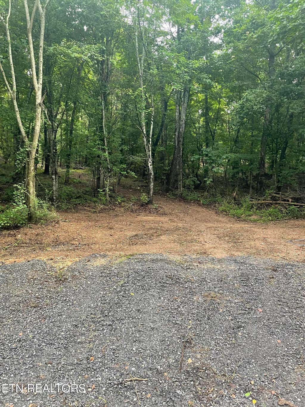 Photo of 400 Moore Cemetery Rd, Decatur, TN 37322 (MLS # 1271320)