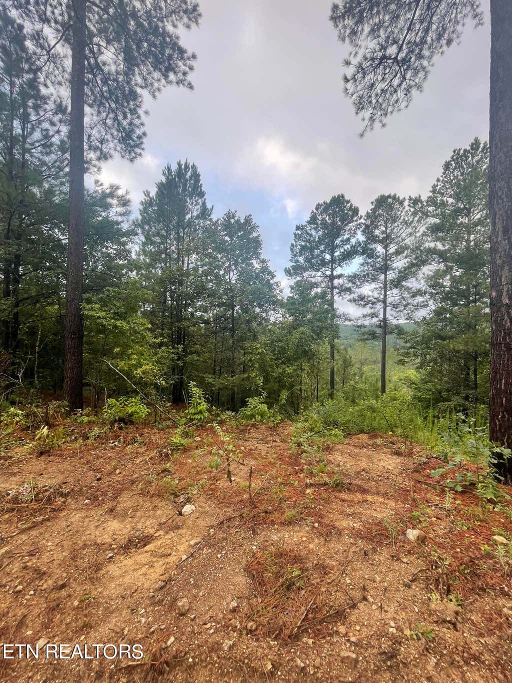 Photo of 400 Moore Cemetery Rd, Decatur, TN 37322 (MLS # 1271320)