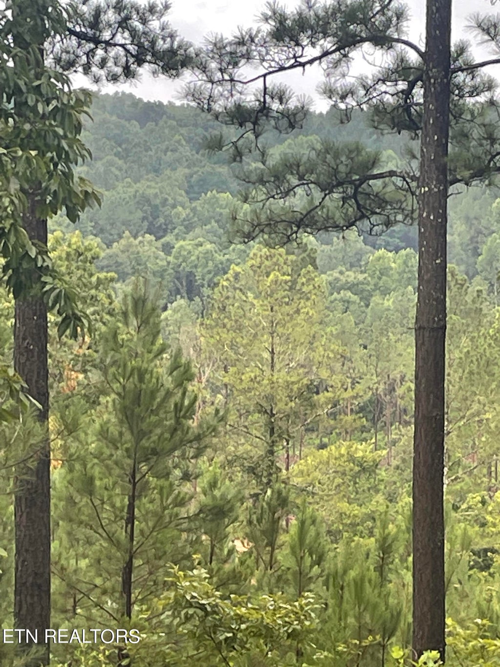 Photo of 400 Moore Cemetery Rd, Decatur, TN 37322 (MLS # 1271320)