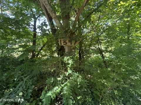 Tiny photo for 1347 Sharp Lane, Caryville, TN 37714 (MLS # 1357400)