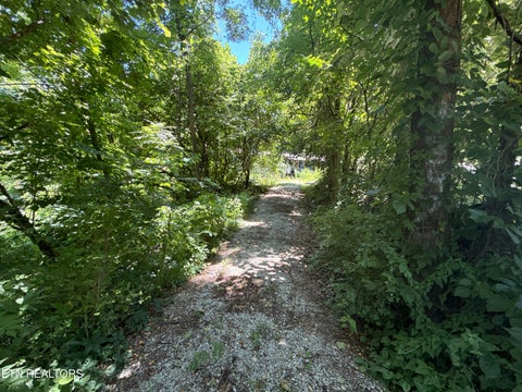Tiny photo for 1347 Sharp Lane, Caryville, TN 37714 (MLS # 1357400)