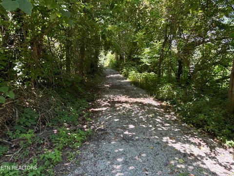 Tiny photo for 1347 Sharp Lane, Caryville, TN 37714 (MLS # 1357400)