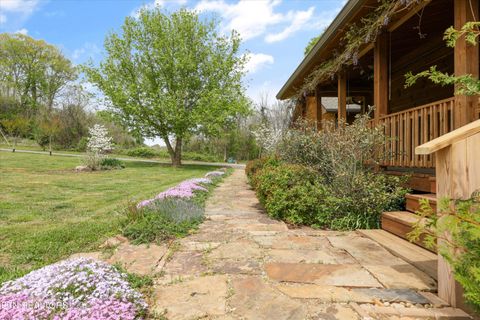 Tiny photo for 1784 Holston Shores Drive, Rutledge, TN 37861 (MLS # 1336184)