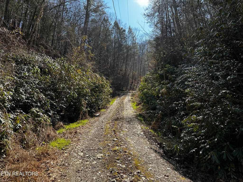 Photo of 178 Bob Henry Rd, Vonore, TN 37885 (MLS # 1266506)