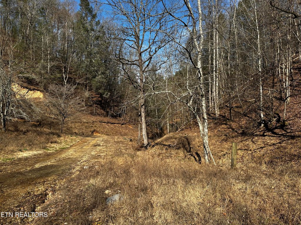 Photo of 178 Bob Henry Rd, Vonore, TN 37885 (MLS # 1266506)