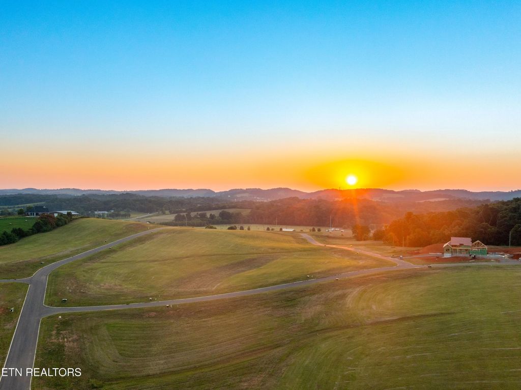 Photo of 71 Vista Ridge Drive, White Pine, TN 37890 (MLS # 1311873)