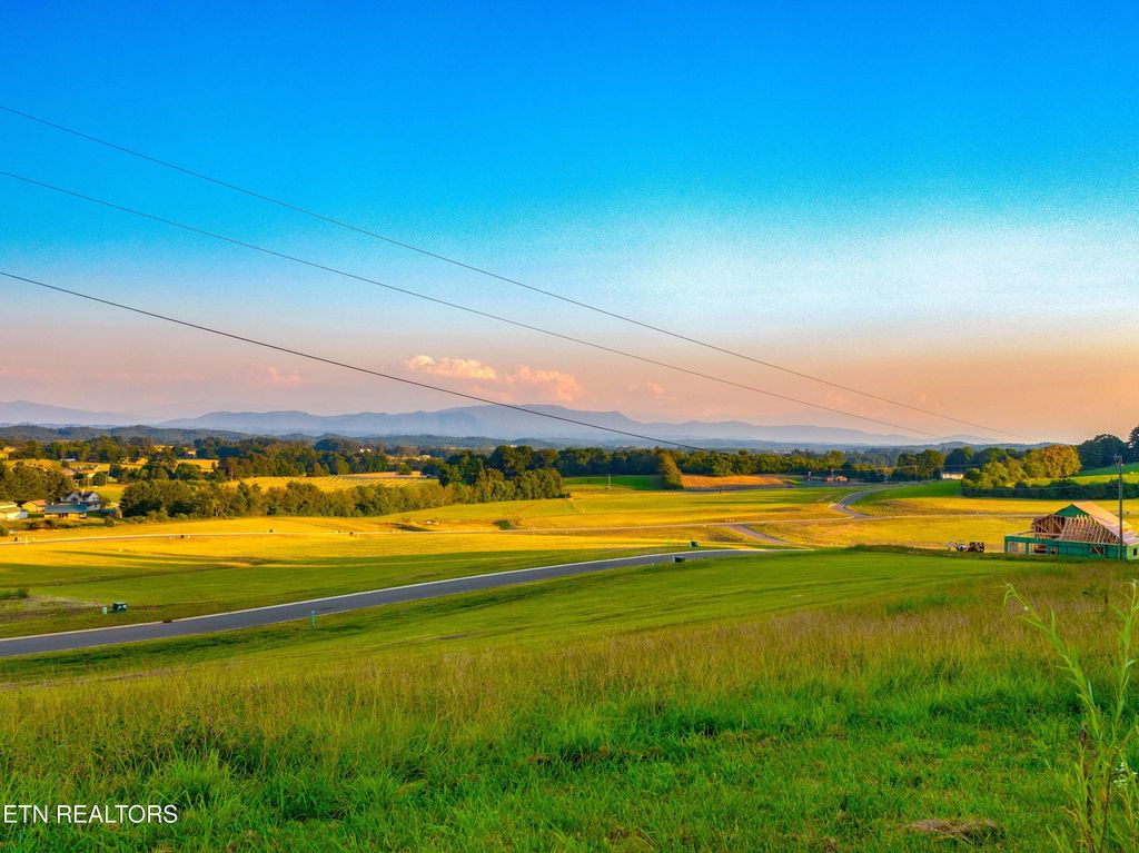 Photo of 71 Vista Ridge Drive, White Pine, TN 37890 (MLS # 1311873)