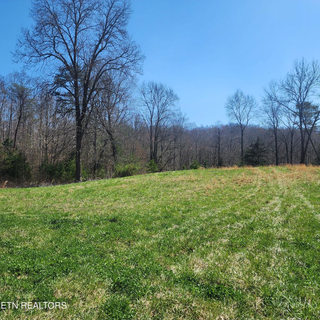 Photo of 5 Hubbs Grove Rd Rd, Maynardville, TN 37807 (MLS # 1257235)