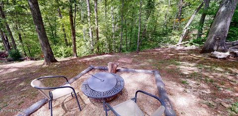 Tiny photo for 1709 Floyd Way, Gatlinburg, TN 37738 (MLS # 1339350)