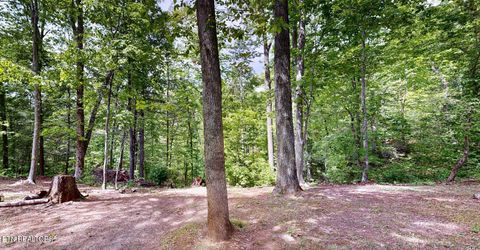Tiny photo for 1709 Floyd Way, Gatlinburg, TN 37738 (MLS # 1339350)