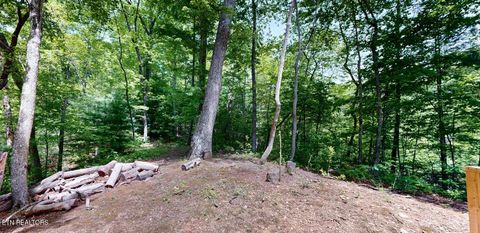 Tiny photo for 1709 Floyd Way, Gatlinburg, TN 37738 (MLS # 1339350)