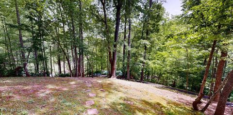 Tiny photo for 1709 Floyd Way, Gatlinburg, TN 37738 (MLS # 1339350)