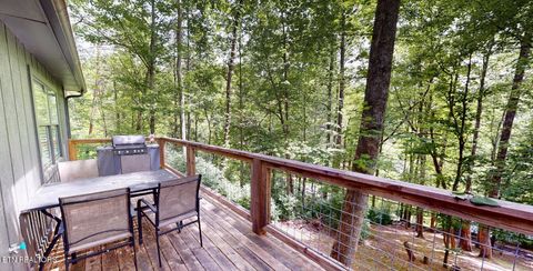 Tiny photo for 1709 Floyd Way, Gatlinburg, TN 37738 (MLS # 1339350)